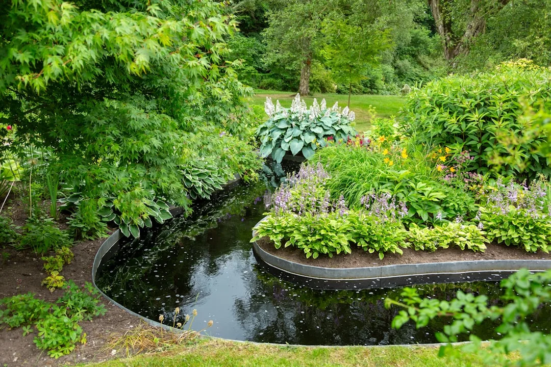 Vom verwilderten Grundstück zum grünen Paradies – Fallstudien in Gartenpflege und Landschaftsbau