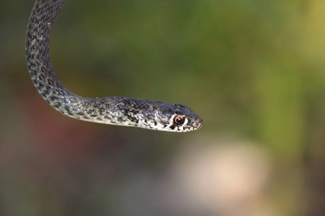 Die häufigsten Fehler beim Einstieg in die Datenwissenschaft mit Python – Und wie du sie vermeidest