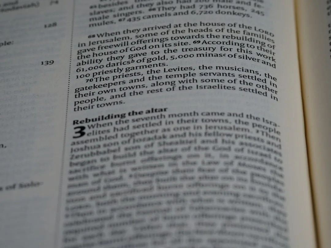 english grammar basics