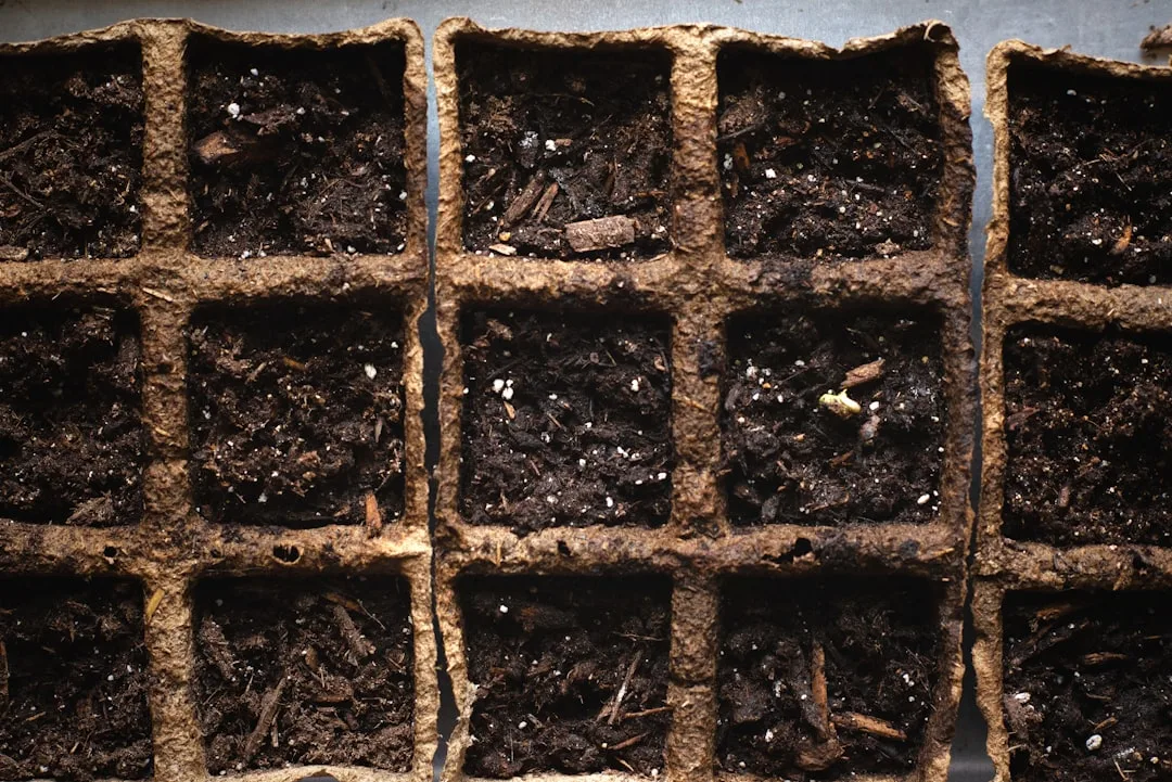plant fertilizing process