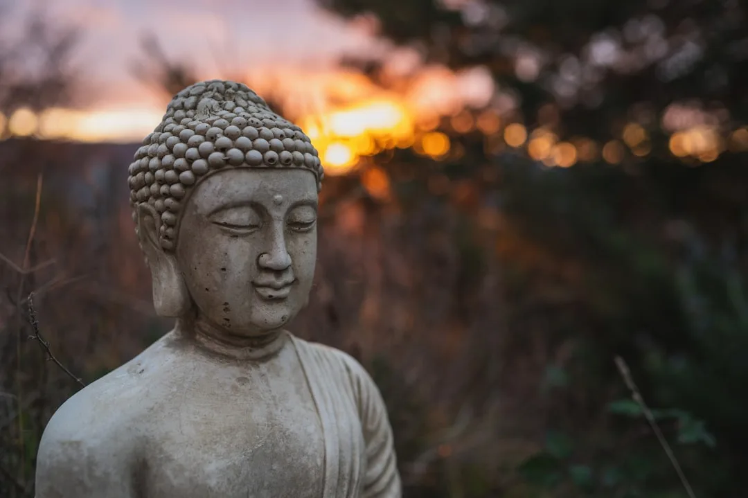 distant reiki meditation