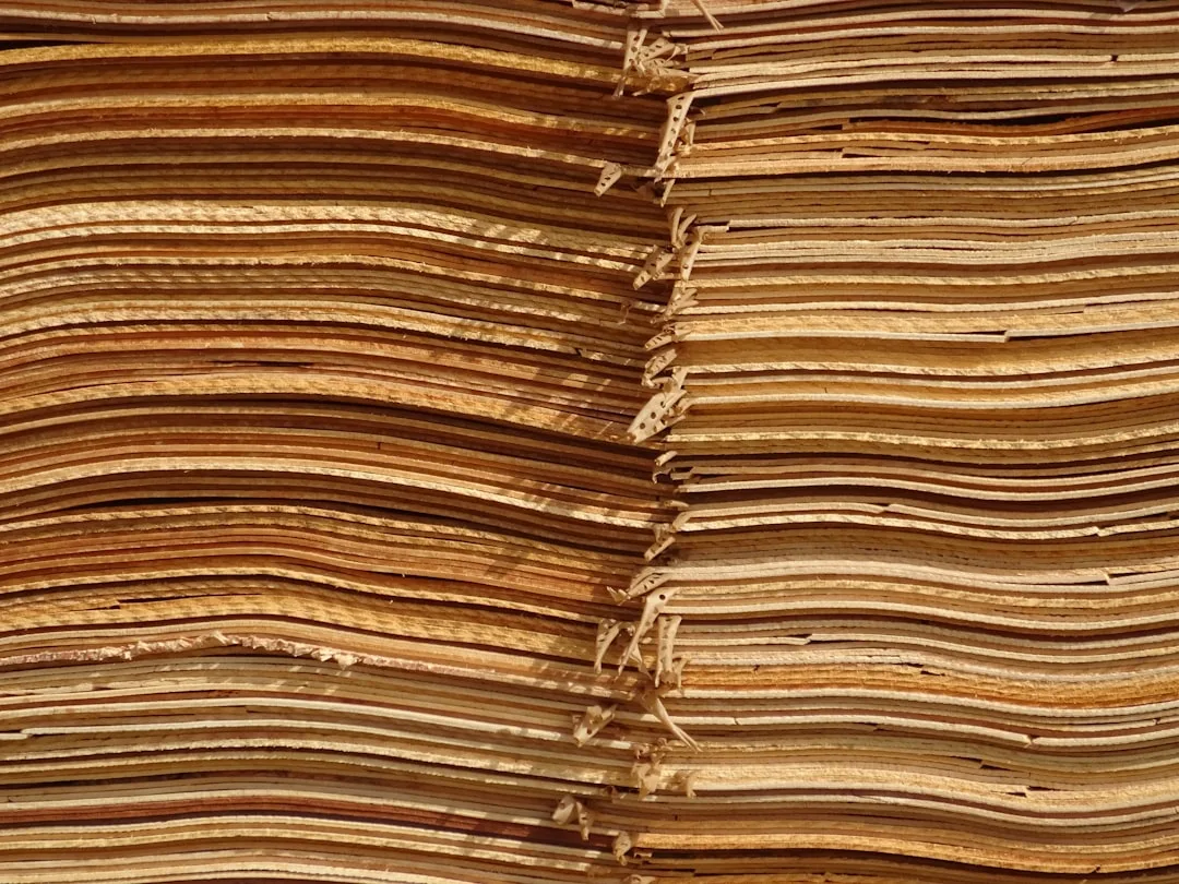 legal documents review